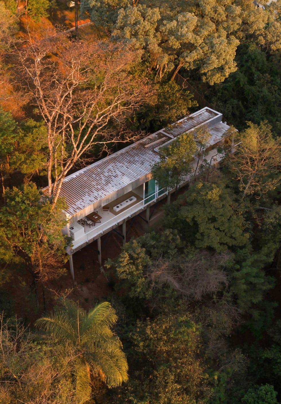 esta casa iba a ser cobertizo y acabo convertido en el loft suspendido a la altura de los arboles de un arquitecto