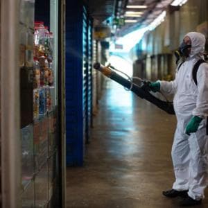 L’arrivo dei virus tropicali in Italia, scattano le disinfestazioni straordinarie. I sintomi