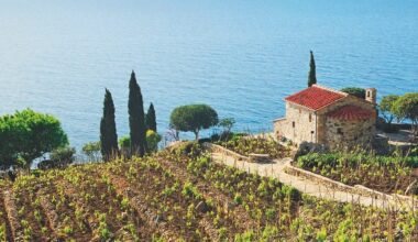 Un libro sui vini più buoni da assaporare nel Mediterraneo