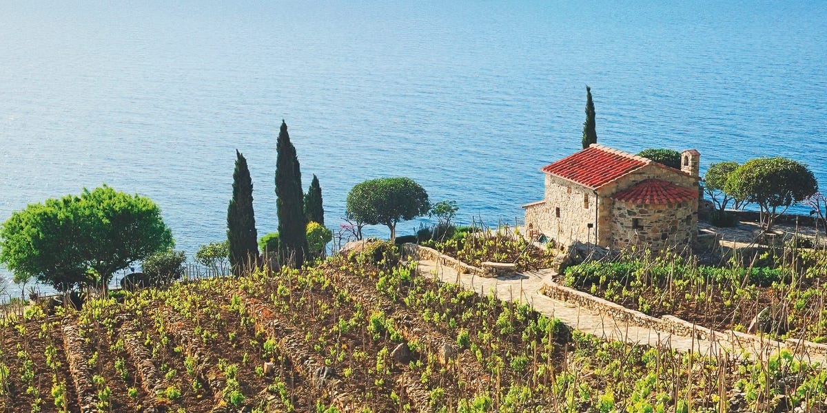 Un libro sui vini più buoni da assaporare nel Mediterraneo