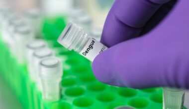 Dengue, individuati gli anticorpi dell’immunità. Saranno utili per farmaci e vaccini