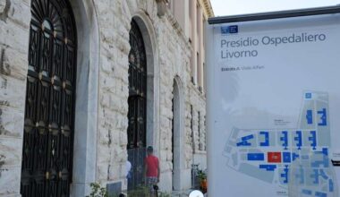 Caso di Dengue a Pisa, dimessa da ospedale donna - Salute e Benessere
