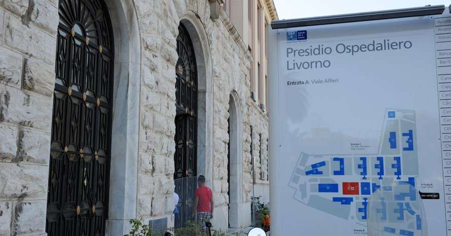 Caso di Dengue a Pisa, dimessa da ospedale donna - Salute e Benessere