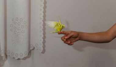 ©Parisa Azadi, Amir Hussain Roozbahani gioca con il suo uccellino nel giorno del suo compleanno a casa, nella periferia di Teheran, Iran, 5 maggio 2020