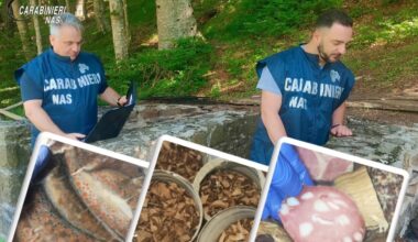 Carne scaduta da vent'anni nei ristoranti dell'Appennino: chiuse quattro locande