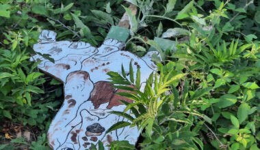 Devastate le sculture del "bosco fatato" lungo l'Arda