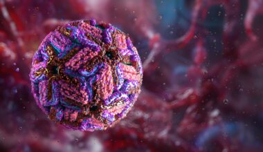 West Nile: i sintomi, come avviene la trasmissione, medicinali e vaccini | Domande e risposte sul virus