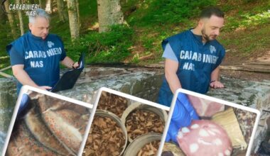 Rifugi da incubo nell'Appennino emiliano-romagnolo scoperti dai Nas: «Carne di cervo, trote e salumi scaduti da più di 20 anni. Funghi porcini senza la certificazione dell'Ausl»