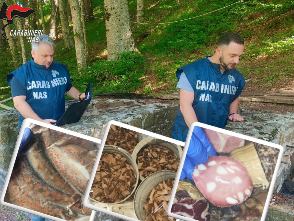 Rifugi da incubo nell'Appennino emiliano-romagnolo scoperti dai Nas: «Carne di cervo, trote e salumi scaduti da più di 20 anni. Funghi porcini senza la certificazione dell'Ausl»