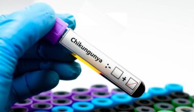 Chikungunya: caso italiano, epidemia in Francia e allarme OMS