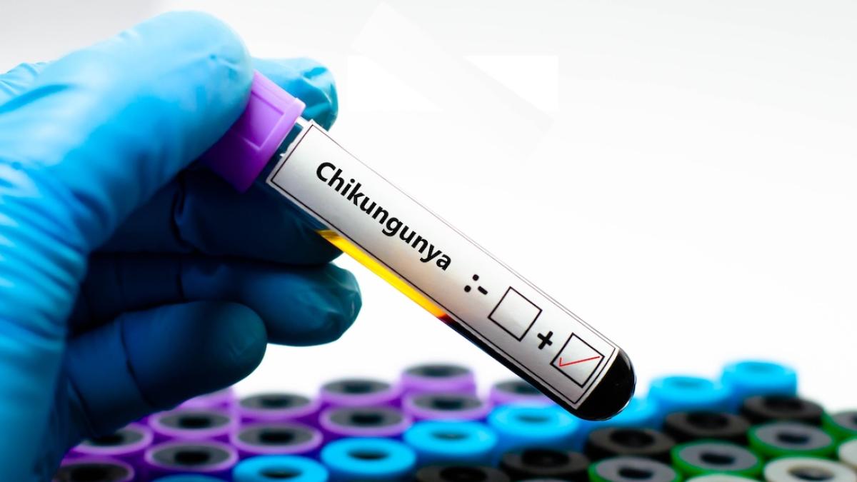 Chikungunya: caso italiano, epidemia in Francia e allarme OMS