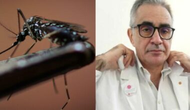 «Ormai il virus è endemico. Colpa di zanzare, cavalli e cani»