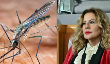 febbre alta, sopore e rigidità del collo. L'intervista alla prof Maria Triassi