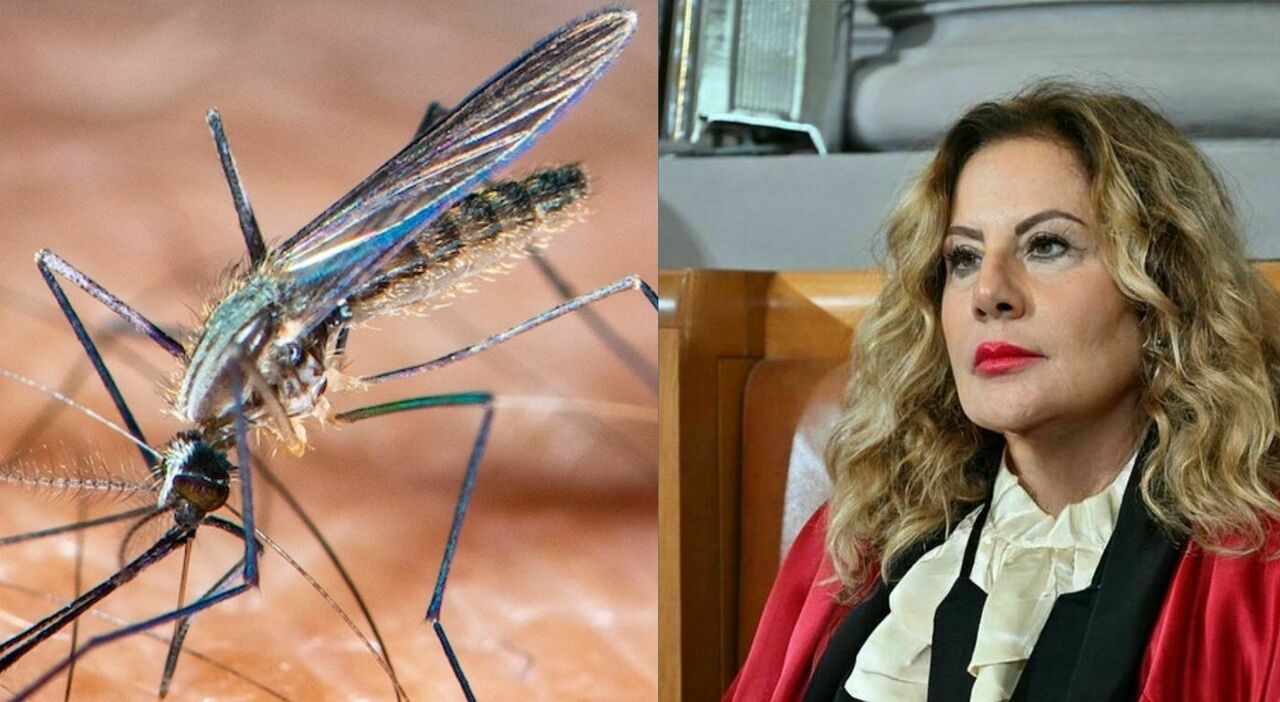 febbre alta, sopore e rigidità del collo. L'intervista alla prof Maria Triassi