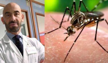 «West Nile? Non potranno dare la colpa ai vaccini. ​Corriamo sempre ai ripari quando i buoi sono scappati»