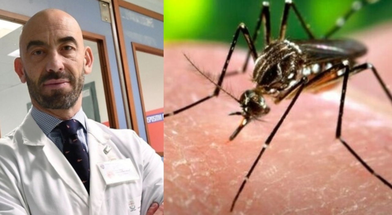 «West Nile? Non potranno dare la colpa ai vaccini. ​Corriamo sempre ai ripari quando i buoi sono scappati»