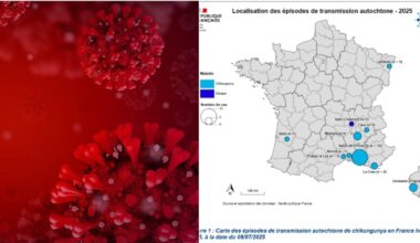 «Rischio globale», casi anche in Italia. Sintomi, contagio e cura