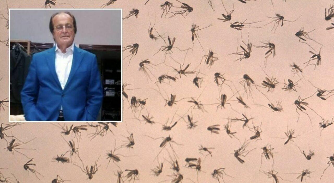 West Nile, seconda vittima nel Lazio: morto un 77enne, era stato in vacanza a Baia Domizia