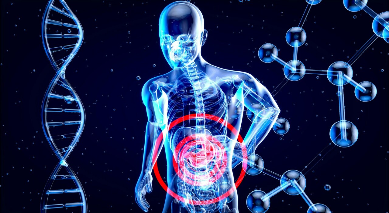 Cancro al fegato in aumento negli under 50, uno studio spiega le cause e come affrontarle