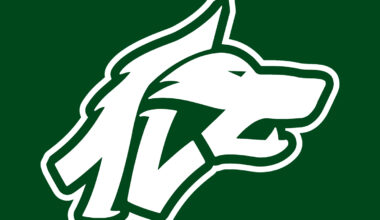 Avellino Basket: in arrivo il colpo Jay Jay Chandler