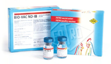 Investindustrial pronto ad acquisire il controllo di Fatro, specialista di farmaci e vaccini veterinari