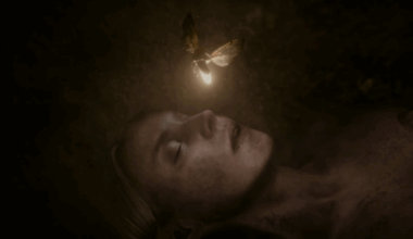 The Shrouds: una composizione sulla decomposizione