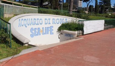 L’Acquario di Roma affonda tra debiti e cause legali. Eur Spa vuole riprendersi l'opera