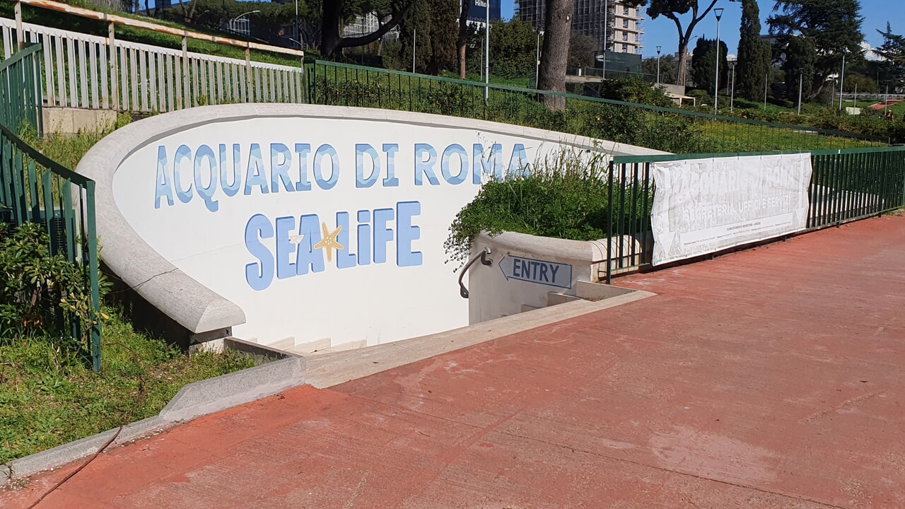 L’Acquario di Roma affonda tra debiti e cause legali. Eur Spa vuole riprendersi l'opera