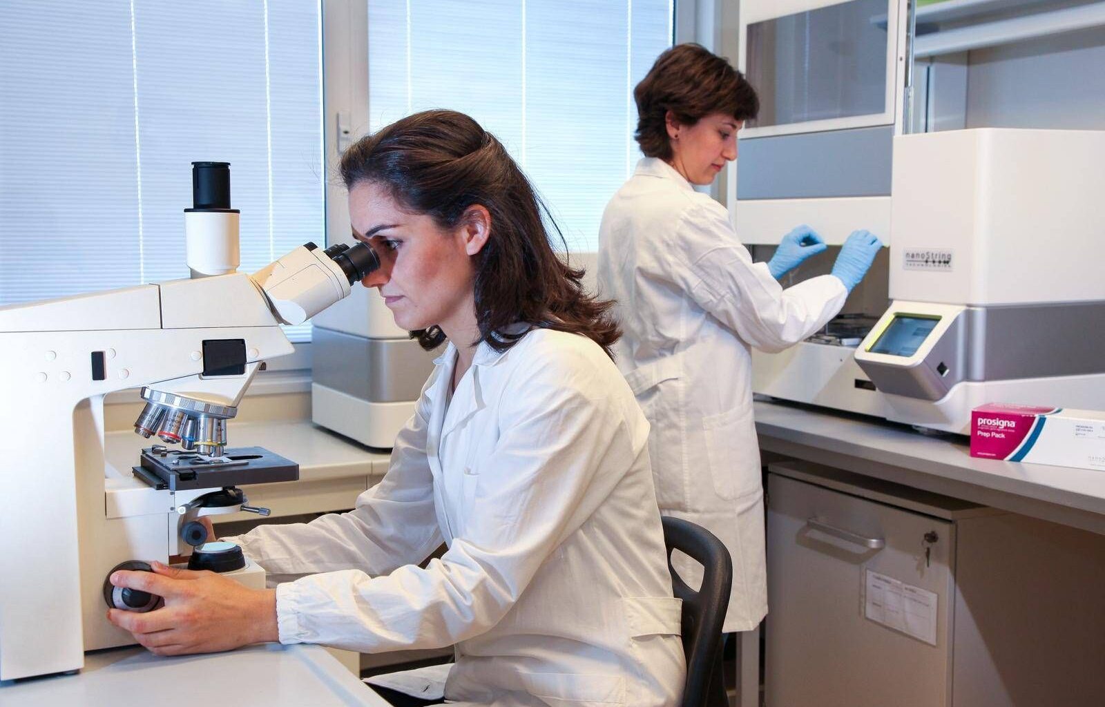 il nuovo Piano di Uguaglianza di Genere
