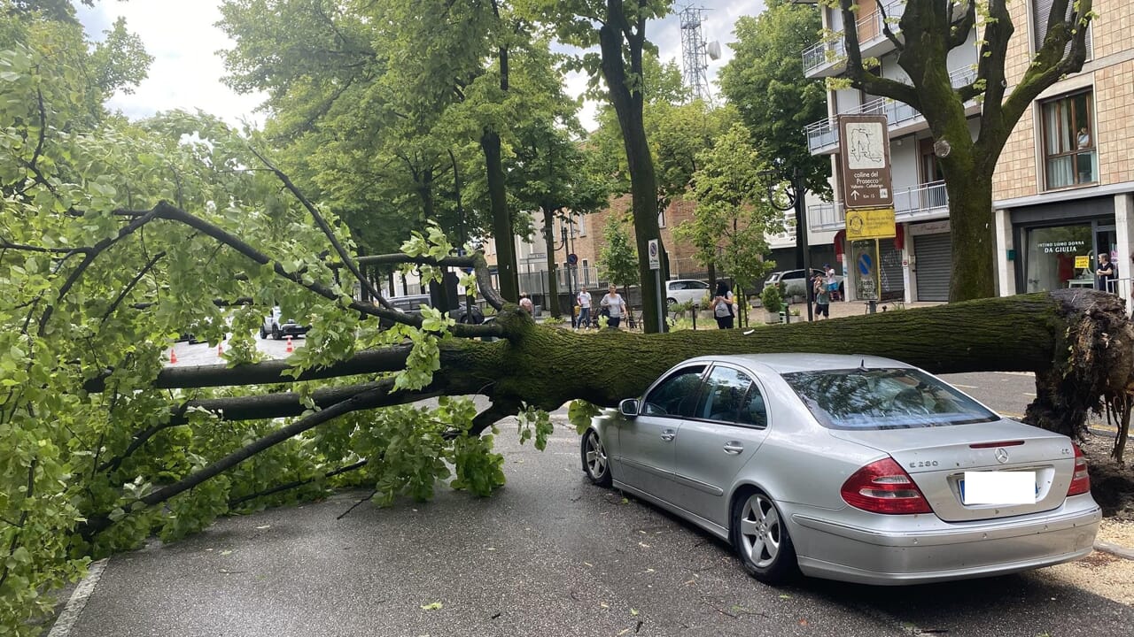 Tromba d'aria a Conegliano, alberi precipitano sulle auto. Pioggia e grandine sulla pedemontana