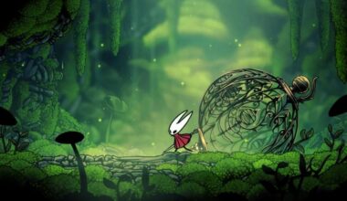 Se Hollow Knight Silksong comparirà al Nintendo Direct, uno sviluppatore dovrà regalare migliaia di giochi