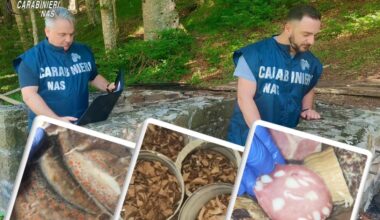 700 chili di cibo sequestrato nei rifugi dell’Emilia Romagna