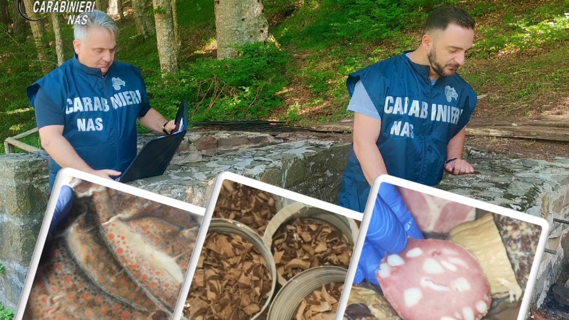 700 chili di cibo sequestrato nei rifugi dell’Emilia Romagna