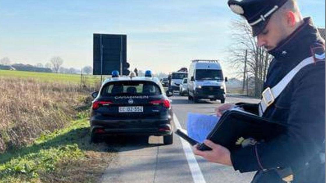 Investita e uccisa a 55 anni da un furgone mentre porta a spasso il cane