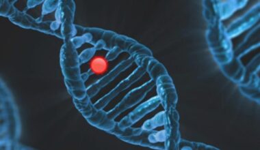 ricerca getta le basi per curare malattie rare prima della nascita