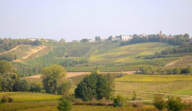 Cosa vedere a Montalto Pavese, il borgo che ha stregato Alicia Keys