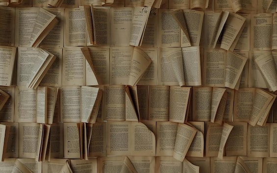 Usa, legge oltre 3500 libri dal 1962: figlia pubblica lista a funerale