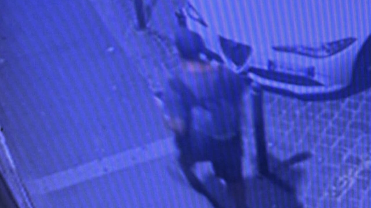 Piromane incendia auto della polizia, trovato a Ladispoli