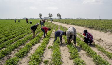 Tra i lavoratori migranti in Puglia