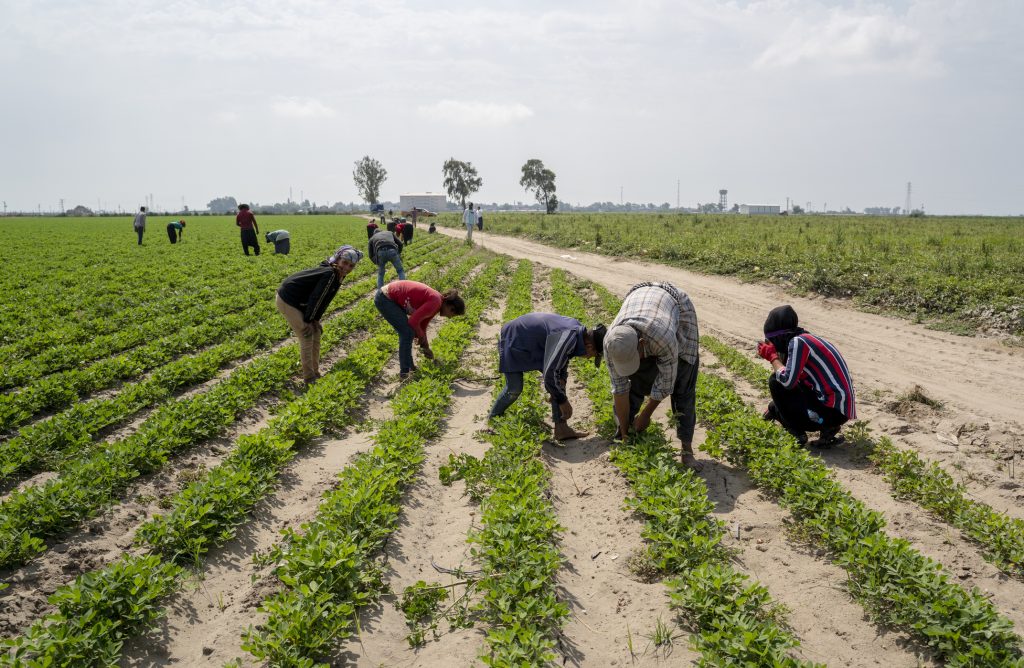 Tra i lavoratori migranti in Puglia