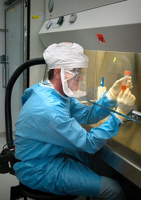 West Nile, l’allarme corre sulle ali: 455 casi in Italia