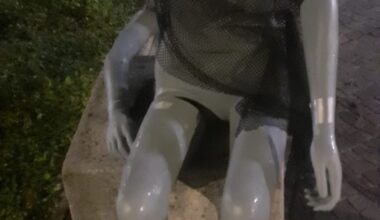 Vandalizzata dopo neanche una settimana l'opera posizionata nel giardino centrale di San Pellegrino