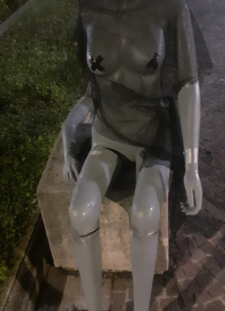 Vandalizzata dopo neanche una settimana l'opera posizionata nel giardino centrale di San Pellegrino