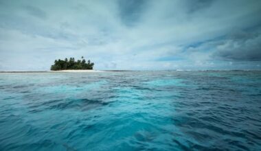 Tuvalu, lo Stato che rischia di scomparire sotto l'oceano: 8 abitanti su 10 chiedono di emigrare