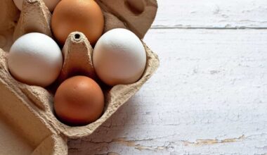 Quante uova mangiare a settimana per ridurre il rischio di Alzheimer