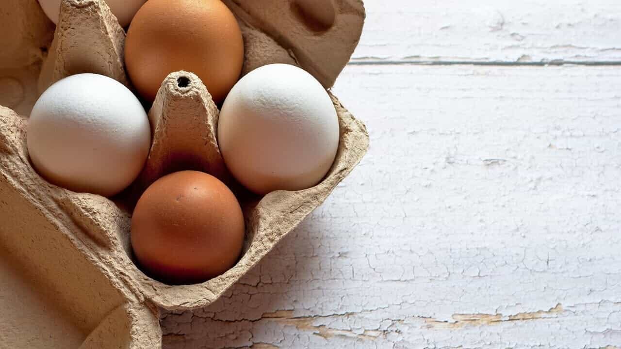 Quante uova mangiare a settimana per ridurre il rischio di Alzheimer