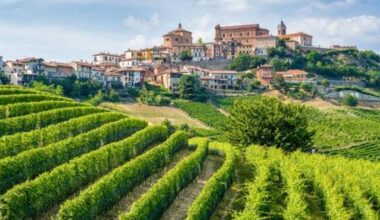 Americani pazzi per il Piemonte: boom di turisti tra colline, eventi e sci - La Stampa