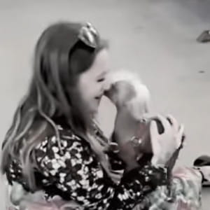 L’emozionante momento in cui il cane rapito Mushu capisce di essere di nuovo con la sua famiglia
