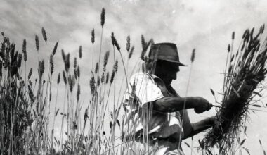 Docufilm su Morandi, fotografo dei ‘paisan’ - Foto 1 di 6