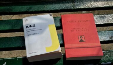Cremona Sera - BookCrossing a sorpresa, libri sulle panchine del viale: sul futuro del buon, caro, vecchio, spelacchiato viale Po si accende una piccola luce di speranza